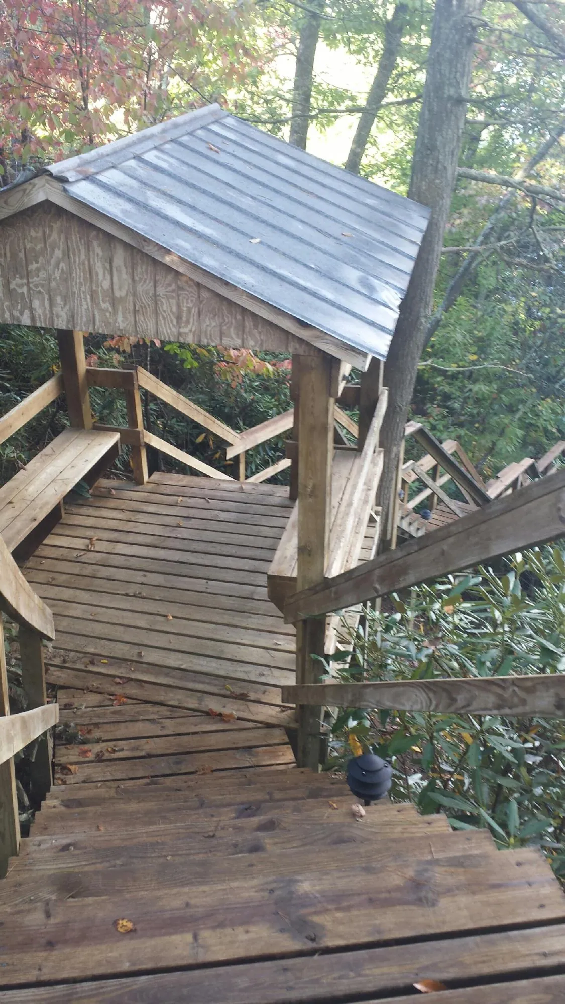 Metal roofed shelter over wooden steps on a wooded walkway — Skylight Repair & Installation work by our crew in Mutual